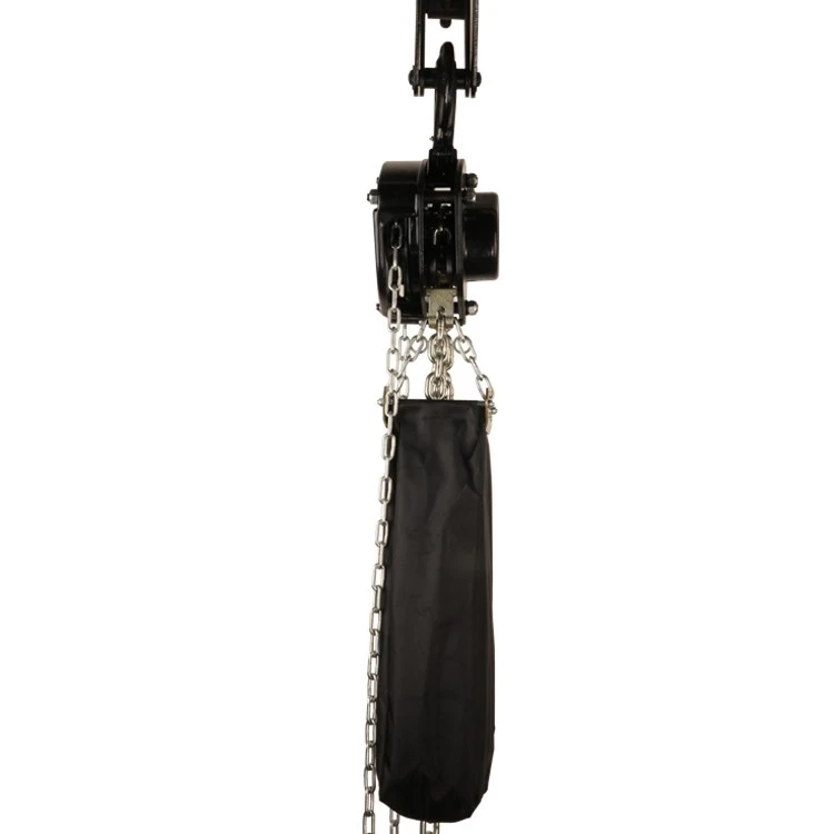 Performance Specific Chain Hoist factory Performance Specific Chain Hoist factory